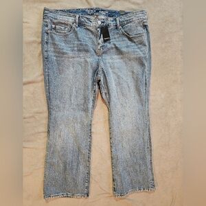 Torrid Jeans NWT 20SHORT